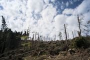 Bild_Klimaschäden Bild_Klimaschäden